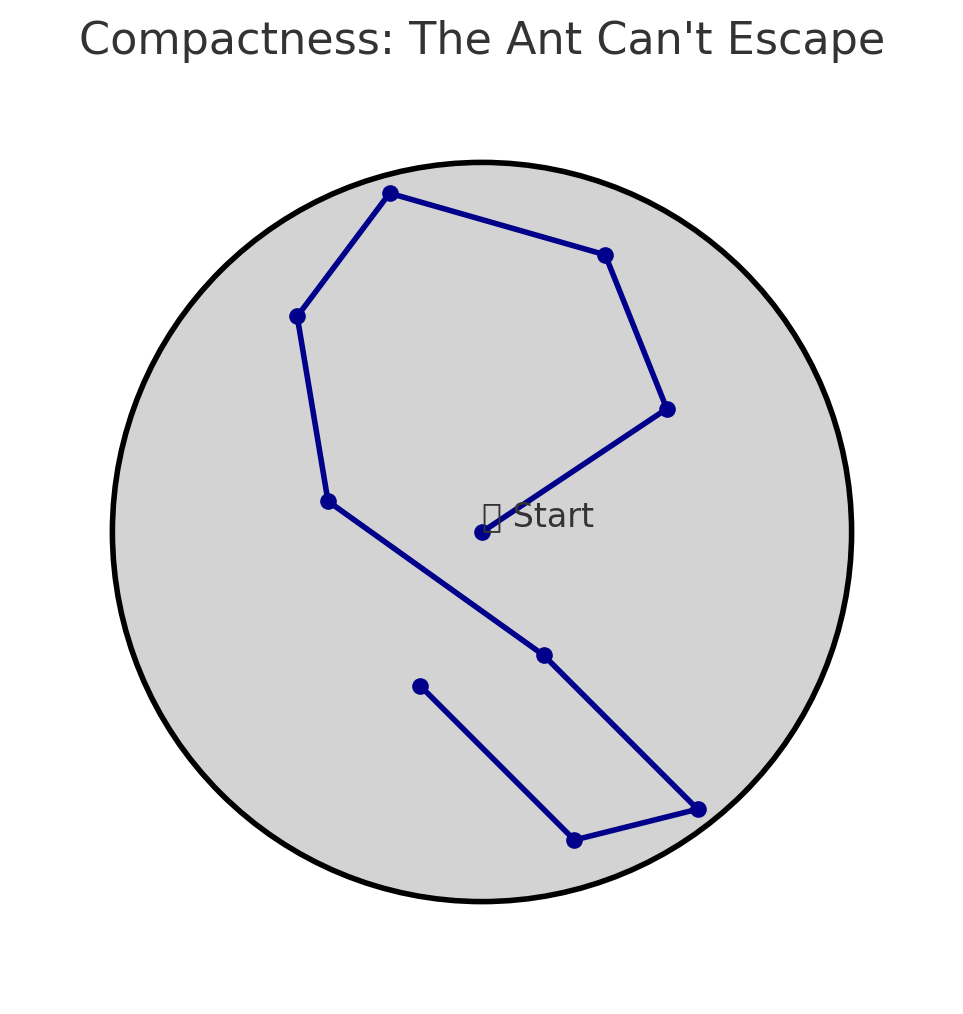 Compactness Ant Path