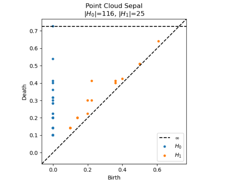 Actual persistence diagram from Iris dataset analysis